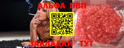 спайс Кингисепп