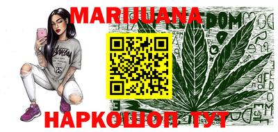 спайс Кингисепп
