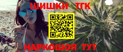 спайс Кингисепп
