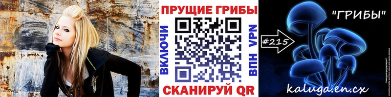 Галлюциногенные грибы GOLDEN TEACHER где купить Карачаевск