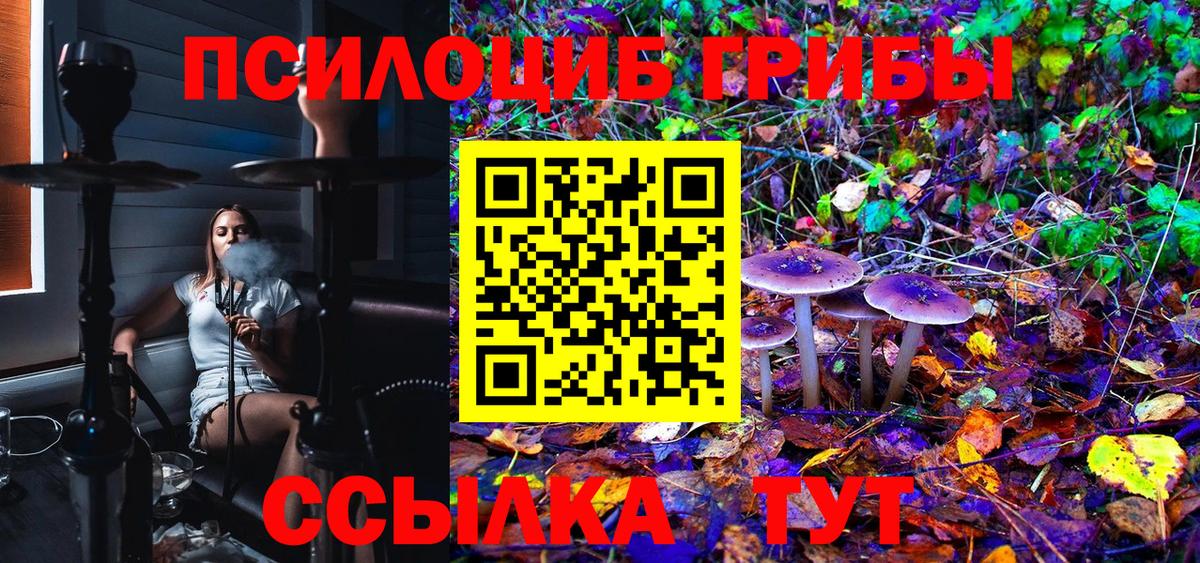 Галлюциногенные грибы Psilocybine cubensis  Псилоцибиновые грибы мухоморы  Вход с VPN  Карачаевск 