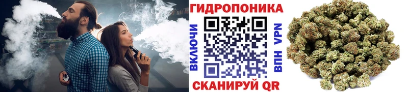 купить   Карачаевск  Бошки Шишки сатива 